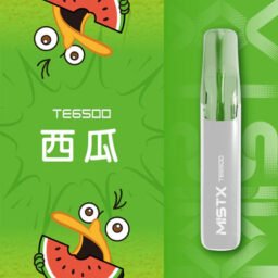 Mist X 鴨嘴獸 6500抛棄式電子煙 650mAh大電量可充電續航 冰爽水果口味清涼入喉 獨家萌系外觀 台灣現貨秒發